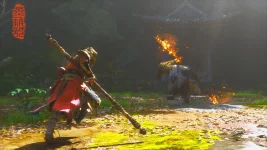 Black Myth  Wukong Screenshot 2025.05.03 - 10.26.06.79.webp