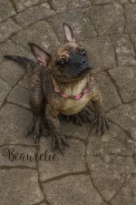 ChatGPT Image 7. Okt. 2025, 20_50_22.webp