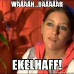 Unbenannt.webp