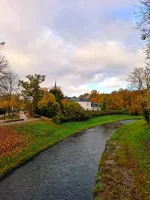 WhatsApp Image 2025-11-02 at 10.00.02.webp