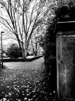 WhatsApp Image 2025-11-02 at 10.00.03 (2)b.webp