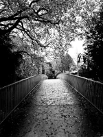 WhatsApp Image 2025-11-02 at 10.00.03 (1)b.webp