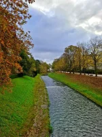 WhatsApp Image 2025-11-02 at 10.00.03.webp