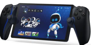 image.webp image.webp