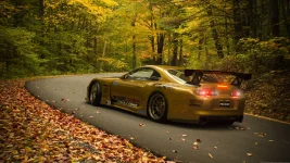 Foto 23.01.26, 19 47 00.webp