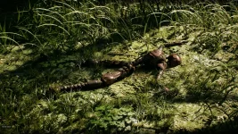 Screenshot 2026-01-29 at 20-16-15 Beast of Reincarnation - Action Abenteuer Shooter - Pixelgo...webp