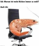 WhatsApp Image 2026-01-29 at 11.57.02.webp