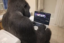 ChatGPT Image 15. Feb. 2026, 09_57_43.webp