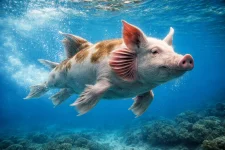 ChatGPT Image 18. Feb. 2026, 13_52_48.webp