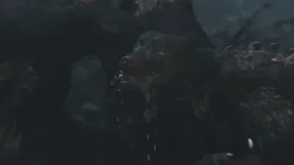 20260220201617_1.webp 20260220201617_1.webp