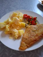 WhatsApp Image 2026-03-17 at 14.54.12.webp