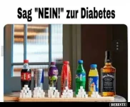 fdd3990d51aa7da44b19892639019c151178.webp
