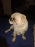 1780301338126.webp
