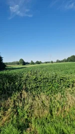 30656.webp