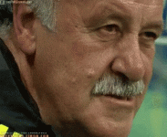 ricolino-scolari.gif