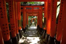 DSC_0112 (2).webp