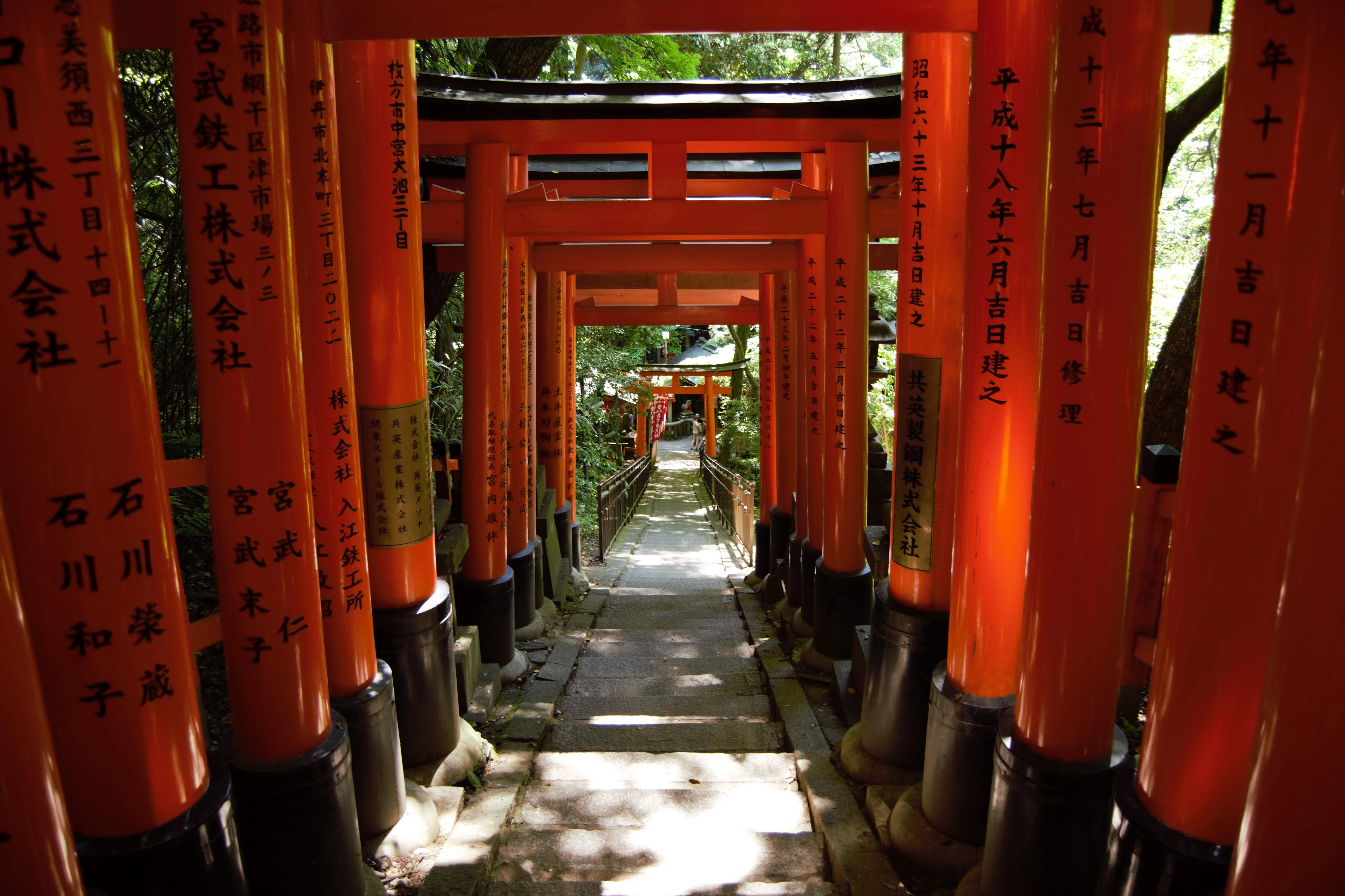 DSC_0112 (2).webp