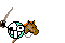 pferd